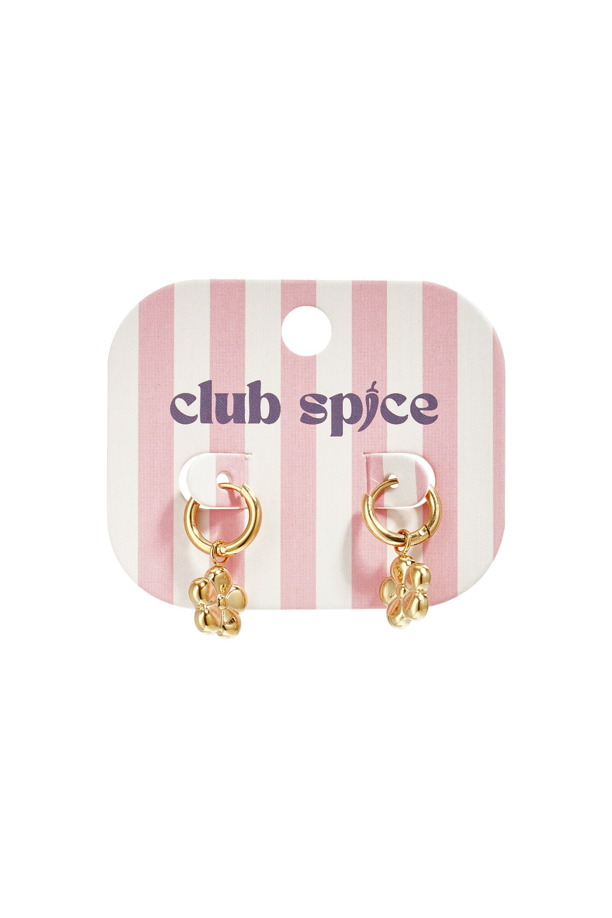 Stainless Steel Drop Earrings Flower Simple Daily Simple Series Women's jewelry